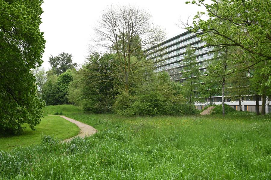 ObjectFoto.46047.4.jpg