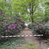 ObjectFoto.46704.4.jpg
