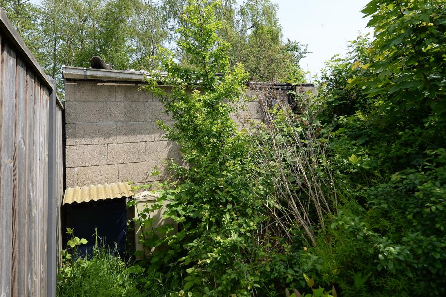 ObjectFoto.46401.4.jpg