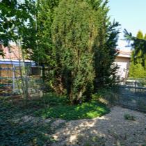 ObjectFoto.44744.7.JPG