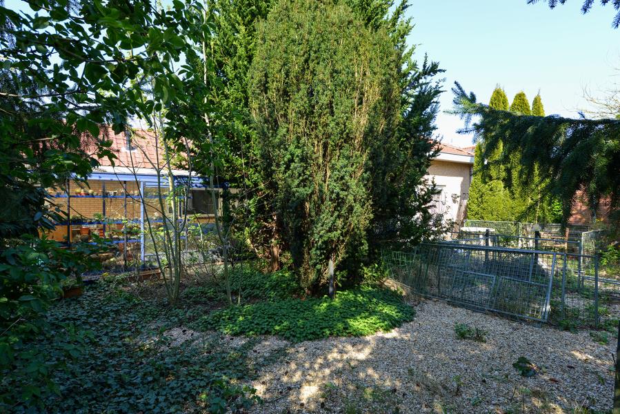 ObjectFoto.44744.7.JPG