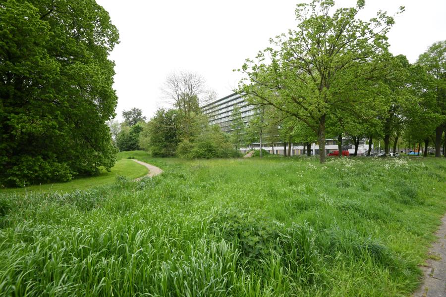 ObjectFoto.46047.5.jpg
